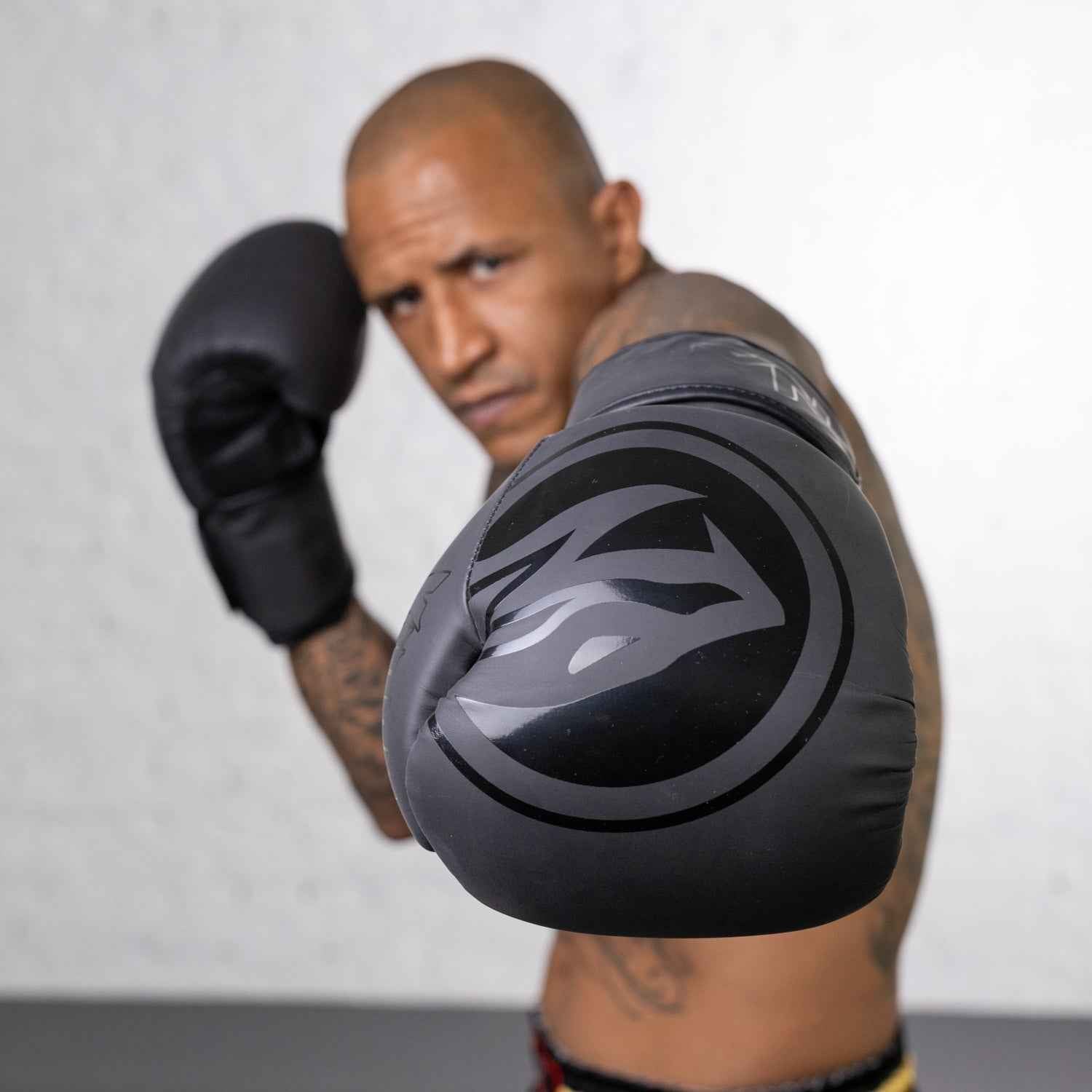 Luva de Boxe e Muay Thai Naja Viper